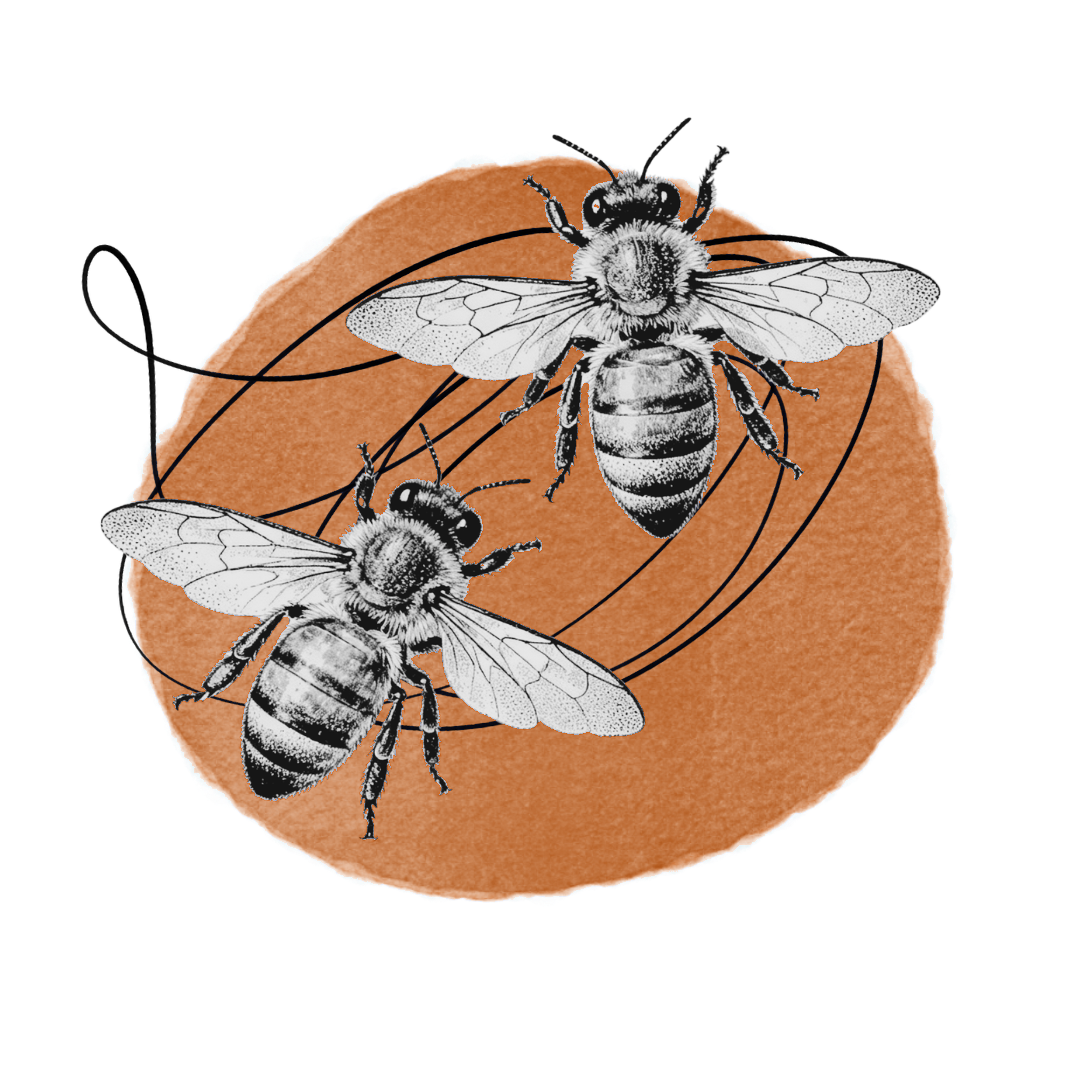 Bees collage